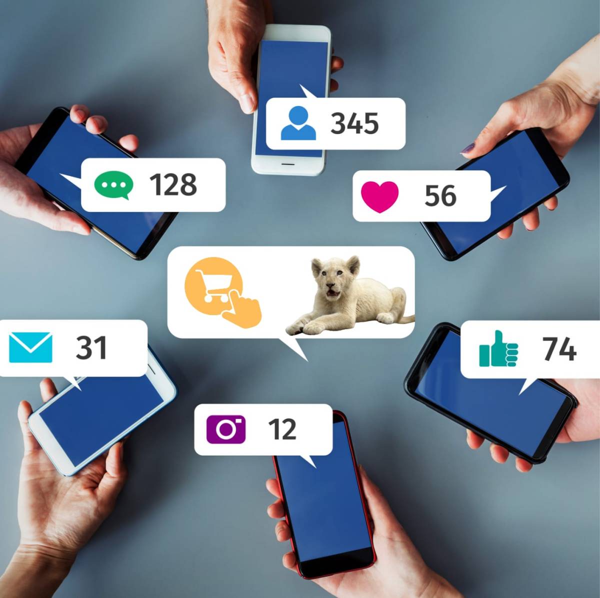 Le trafic d&rsquo;animaux sauvages : le prix de la popularité sur les réseaux&nbsp;sociaux